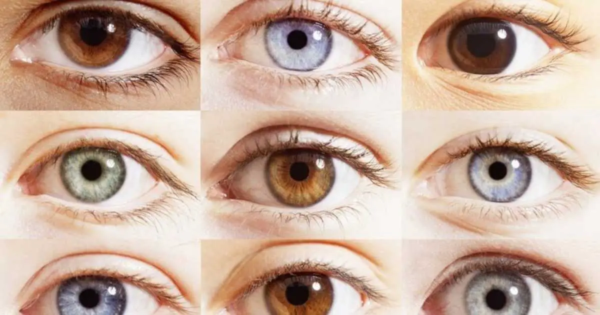 how-eye-color-is-potentially-linked-to-personality-traits-go-viral