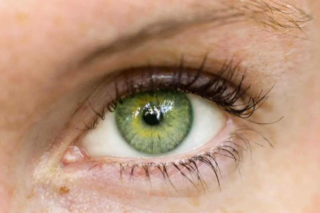 How Eye Color Is Potentially Linked To Personality Traits