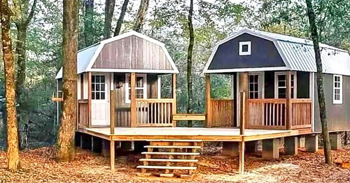The ‘We Shed’ Is A His And Hers Shed Joined Together With A Deck