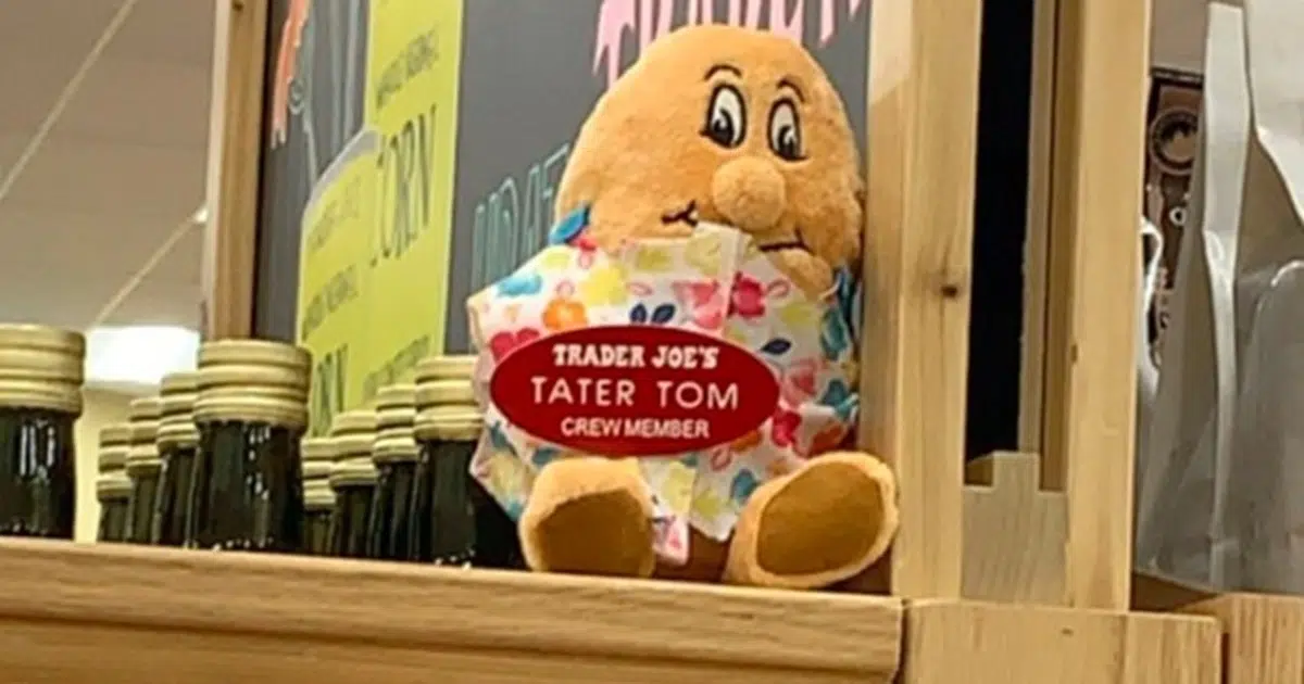 Why Trader Joe’s Hides Stuffed Animals in Their Stores