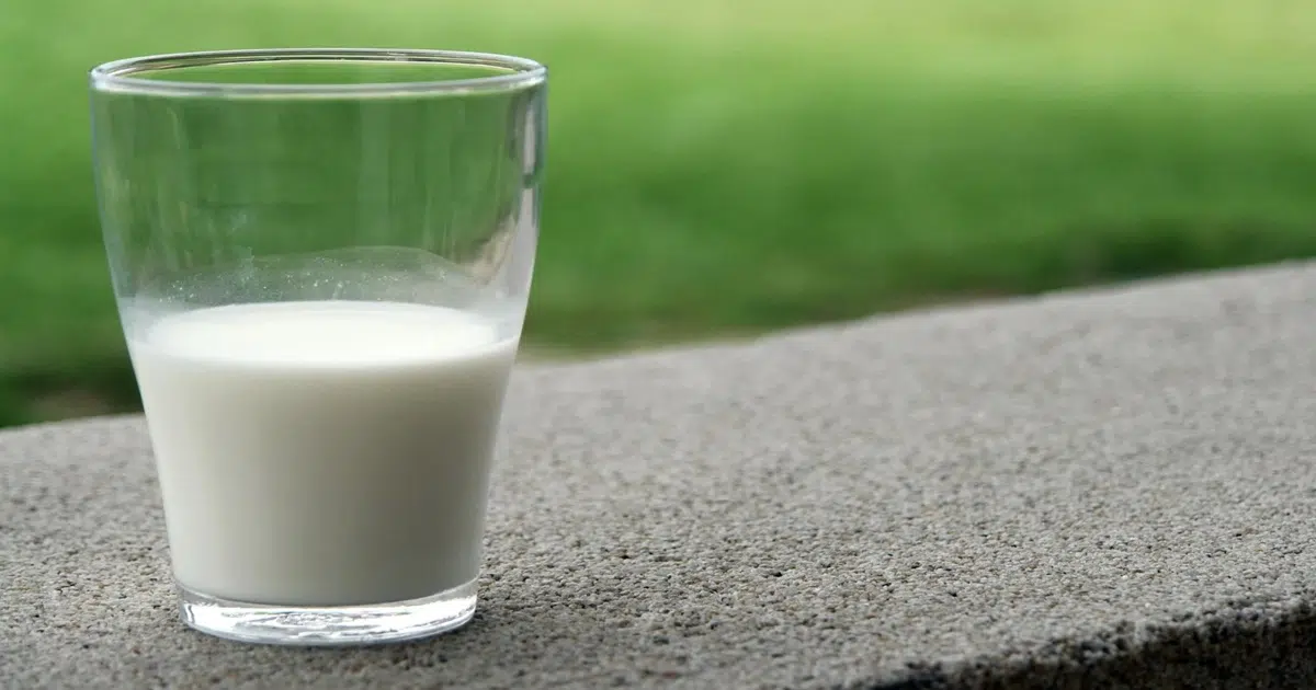 Why You Might Think Twice Before Buying Costco Milk