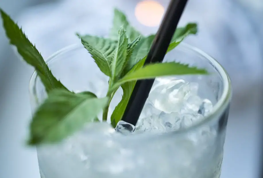 ice cubes in the glass