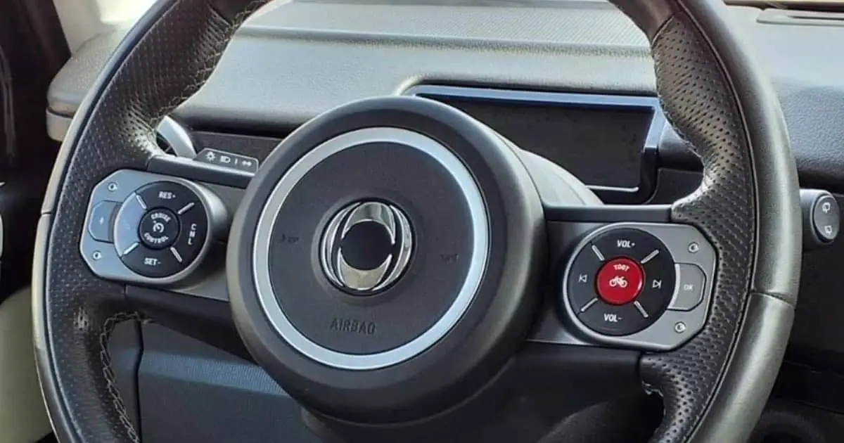 The Hidden Meaning Behind the Bicycle Symbol on a Car Steering Wheel