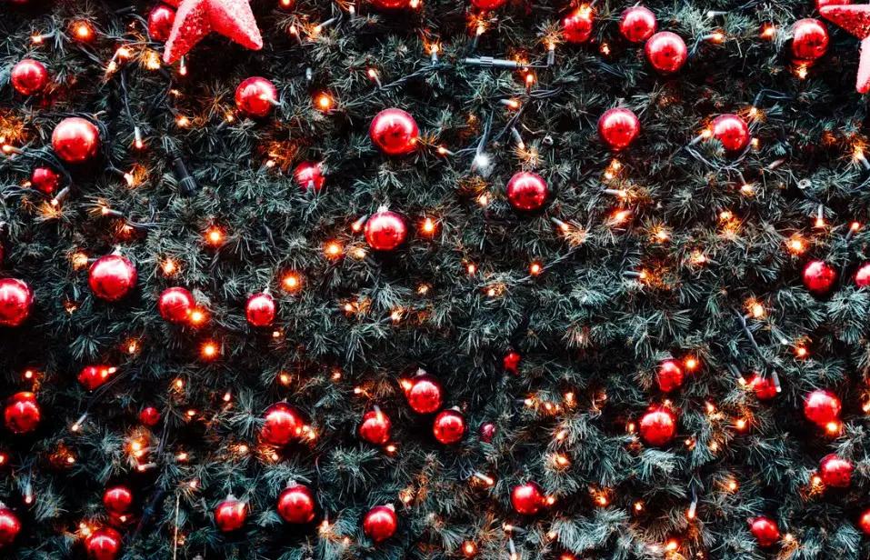 christmas tree